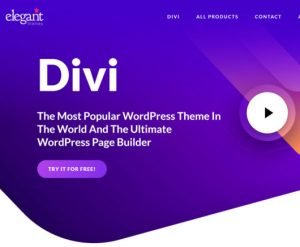 Divi all in one theme API KEY para wordpress