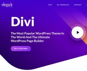 DIVI All in One Theme API Key - Licencia ForLife 1 Divi all in one theme API KEY para wordpress