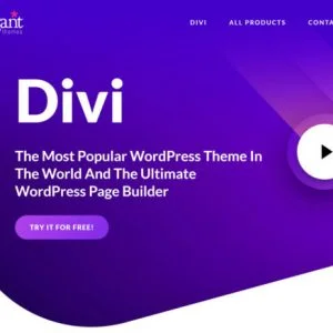 Divi all in one theme API KEY para wordpress