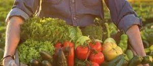 mantenimiento de una huerta orgánica
