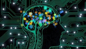 Curso de neurociencia en computación