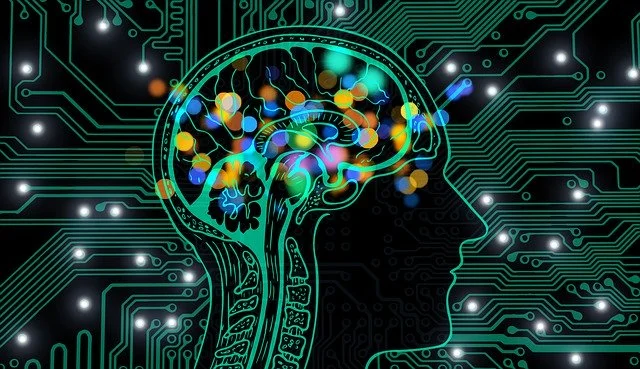 Curso de neurociencia en computación
